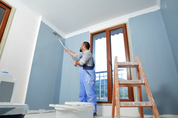 Best Drywall for Remodeling  in Lake Ripley, WI